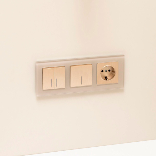 Рамка из стекла на 3 поста Favorit дымчатый W0031117 фото 2