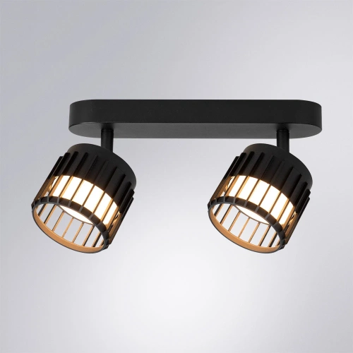 Спот Arte Lamp ATRIA A8031PL-2BK фото 2 Спот Arte Lamp ATRIA A8031PL-2BK фото 2