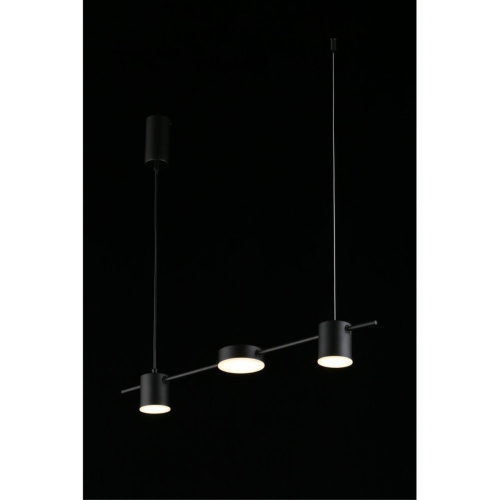 Люстра подвесная APL.017.03.18 фото 14