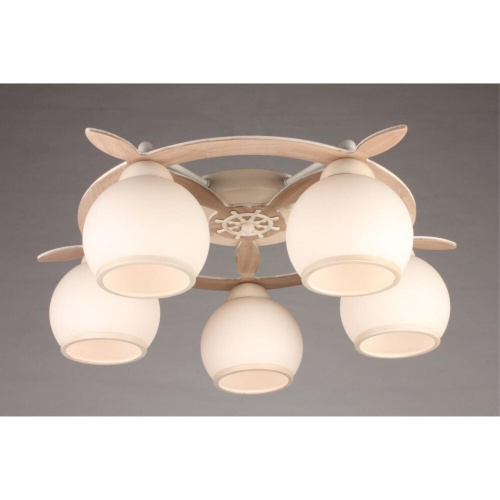 Люстра потолочная OML-50517-05 фото 3 Люстра потолочная OML-50517-05 фото 3