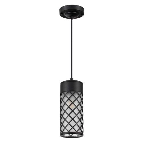 Уличный подвесной светильник Odeon Light Nature Dunes 4834/1 Уличный подвесной светильник Odeon Light Nature Dunes 4834/1