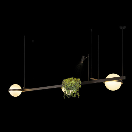 10121/C Dark grey Подвесной светильник LOFT IT Jardin фото 3 10121/C Dark grey Подвесной светильник LOFT IT Jardin фото 3