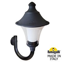Fumagalli Светильник уличный настенный FUMAGALLI ILIO/REMO R50.251.000.AXH27