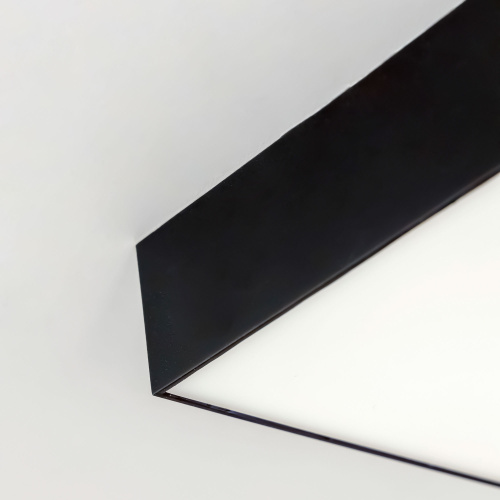 Citilux Тао CL712X122N LED Светильник потолочный с диммером Чёрный фото 23 Citilux Тао CL712X122N LED Светильник потолочный с диммером Чёрный фото 23