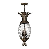 Подвесной светильник Hinkely Lighting, Арт. HK-PLANT4-P-PZ