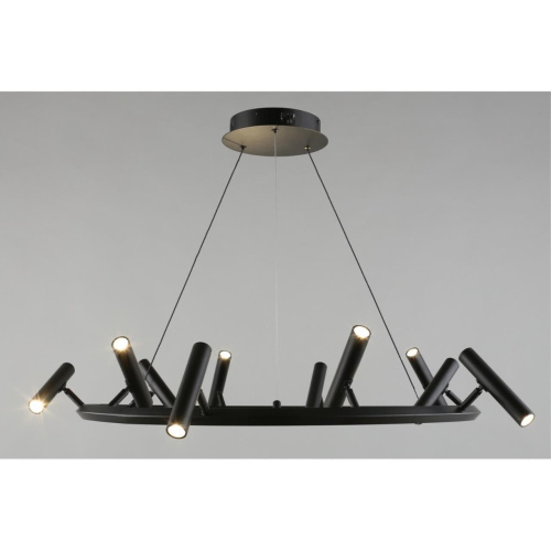 Люстра подвесная APL.067.03.50 фото 16