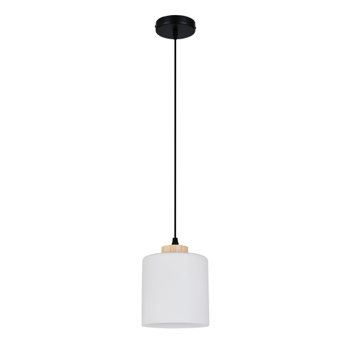 Подвесной светильник 160002/A/1P E27*60W Black фото 2 Подвесной светильник 160002/A/1P E27*60W Black фото 2