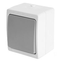 Выключатель 1-клавишный STEKKER, PSW10-211-54, открытой установки, 250В, 10А, IP54, белый/серый