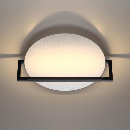 Настенно-потолочный светодиодный светильник Odeon Light Hightech Lunar 7015/15WL фото 2