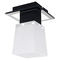 Потолочный светильник Lussole LSC-2507-01