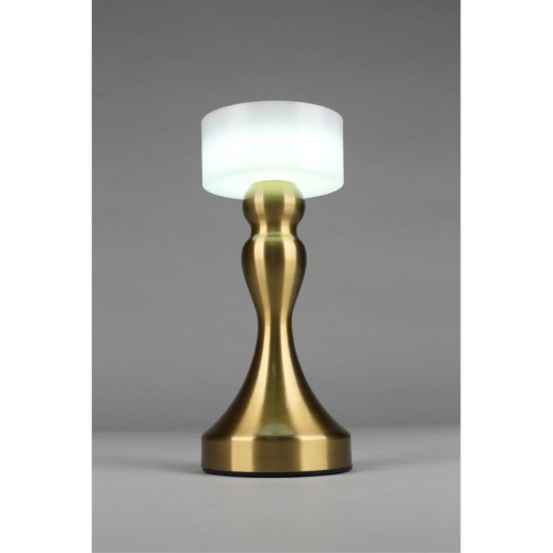 Настольная лампа OML-40304-01 фото 7