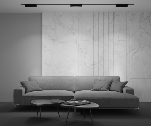 Трековый светильник Technical TR075-2-20W3K-B фото 4