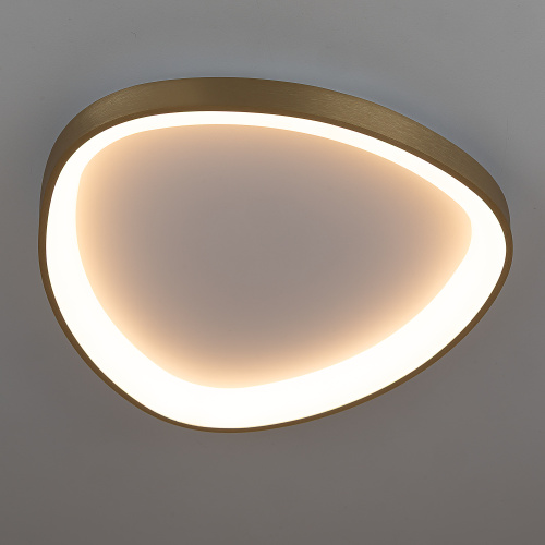 Citilux GENKA SMART CL756A142 LED Умная люстра фото 7