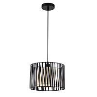 Подвесной светильник Escada 10181/1S E27*60W Black/Silver