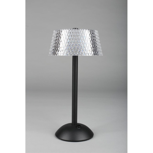 Настольная лампа OML-40104-01 фото 2