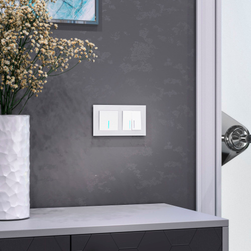 Рамка из стекла на 2 поста Favorit белый матовый W0021105 фото 3