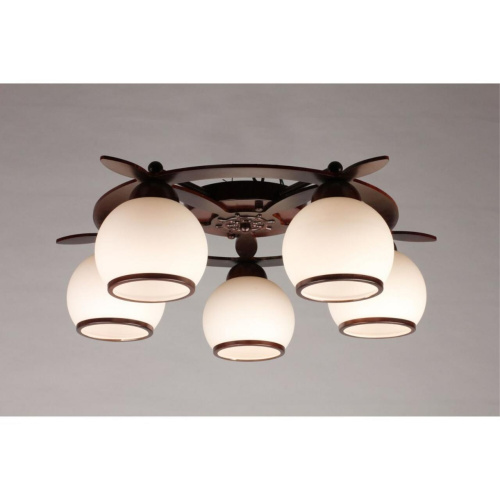 Люстра потолочная OML-50507-05 фото 5