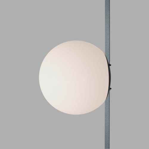 Светильник на шине Denkirs BELTY ORB | БЕЛТИ ОРБ DK5550-BK фото 2 Светильник на шине Denkirs BELTY ORB | БЕЛТИ ОРБ DK5550-BK фото 2