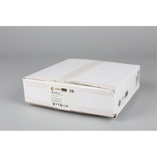 Светильник настенный (Бра) OML-07901-26 фото 4