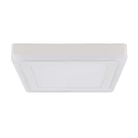 Потолочный светильник Arte Lamp ALTAIR A7724PL-2WH
