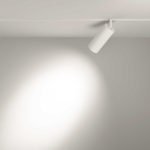 Трековый светильник Voltega Эксилайт / Exilight VGL032-4-20W3K-S-DS-W фото 3 Трековый светильник Voltega Эксилайт / Exilight VGL032-4-20W3K-S-DS-W фото 3