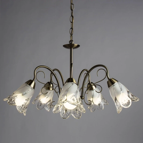 Подвесная люстра Arte Lamp FIORITA A6273LM-5AB фото 2 Подвесная люстра Arte Lamp FIORITA A6273LM-5AB фото 2