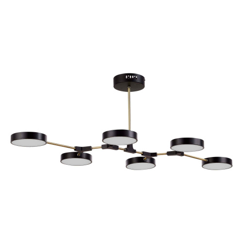 SLE6004-402-06 Светильник потолочный Черный, Латунь/Черный LED 6*10W MONTA фото 4