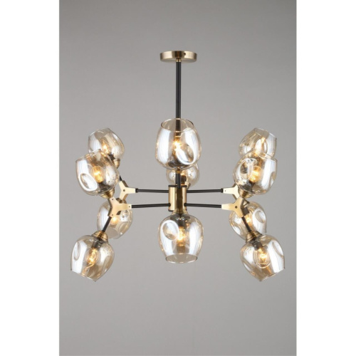 Люстра потолочная OML-93407-12 фото 5 Люстра потолочная OML-93407-12 фото 5