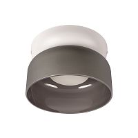 10466 Smoke matte Потолочный светильник LOFT IT Totem