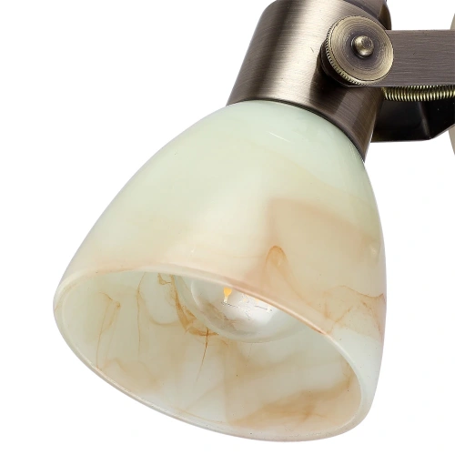 Спот Arte Lamp TULIP A9582AP-1AB фото 2