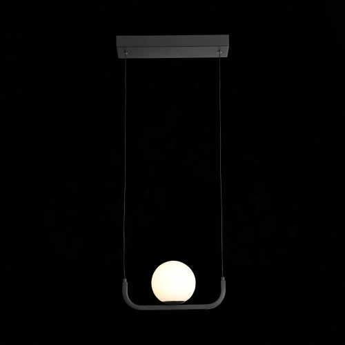 SL1581.403.01 Светильник подвесной ST-Luce Черный/Белый LED 1*8W 3200K BOTELLI фото 4