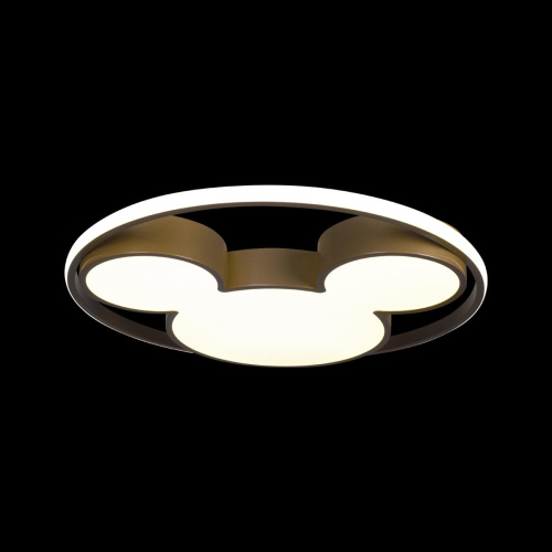 10168 Потолочный светильник LOFT IT Mike фото 3