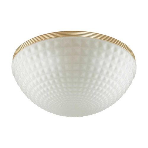 Потолочный светильник Odeon Light Modern Malaga 4936/4C Потолочный светильник Odeon Light Modern Malaga 4936/4C