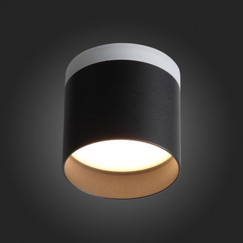 ST102.402.12 Светильник потолочный Черный LED 1*12W 3000K 936Lm Ra>80 120° IP20 D100xH90 170-240V Накладные светильники фото 6