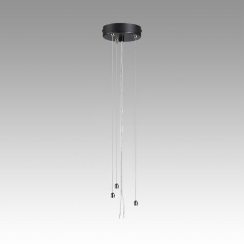 7753/L SN 535 Подвесное крепление для светильника QUANTUM LED металл/черный 1,5м QUANTUM фото 3 7753/L SN 535 Подвесное крепление для светильника QUANTUM LED металл/черный 1,5м QUANTUM фото 3