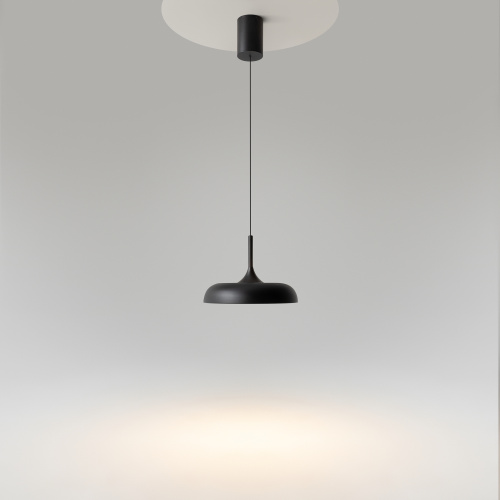 Подвесной светильник Maytoni MOD189PL-L30B3K фото 14 Подвесной светильник Maytoni MOD189PL-L30B3K фото 14
