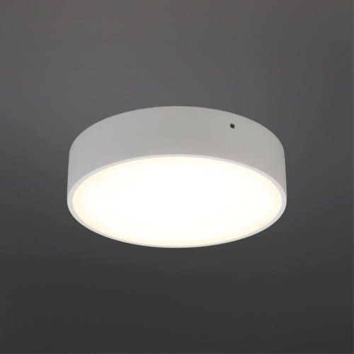 Светильник настенно-потолочный APL.0113.09.18 фото 3