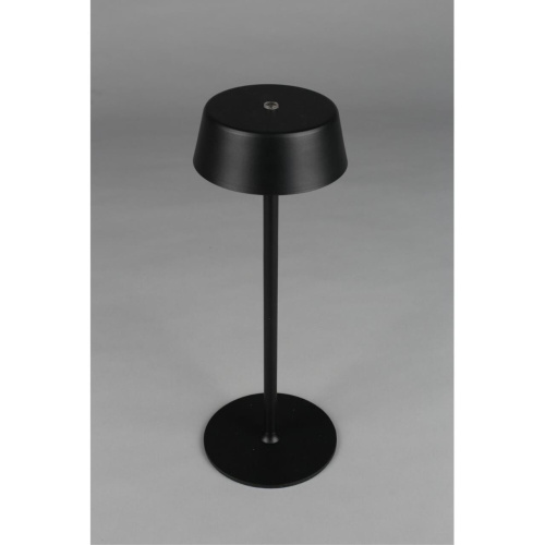 Настольная лампа OML-40504-01 фото 3