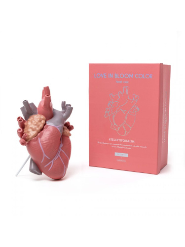 Ваза Love in Bloom Color фото 2 Ваза Love in Bloom Color фото 2