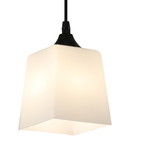 Подвесной светильник 160003/1P E27*60W Black фото 3