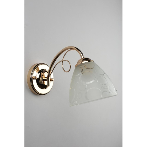 Светильник настенный (Бра) OML-29001-01 фото 4 Светильник настенный (Бра) OML-29001-01 фото 4