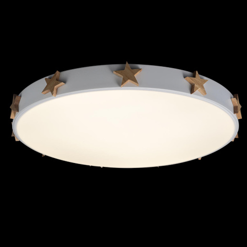 10006/36 White Потолочный светильник LOFT IT Axel фото 2