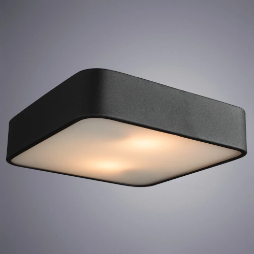 Потолочный светильник Arte Lamp COSMOPOLITAN A7210PL-2BK фото 2 Потолочный светильник Arte Lamp COSMOPOLITAN A7210PL-2BK фото 2