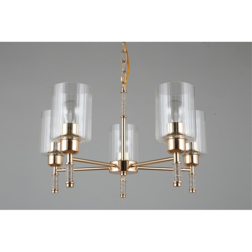 Люстра подвесная OML-66513-05 фото 7