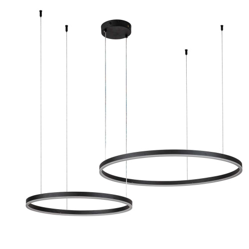 Подвесной светильник 14001/2P Black фото 4