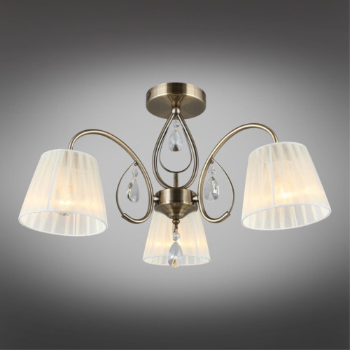 Люстра потолочная OML-56617-03 фото 3 Люстра потолочная OML-56617-03 фото 3