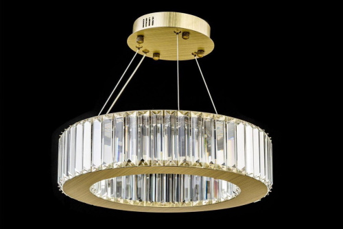 Подвесной светодиодный светильник Arti Lampadari Anzio L 1.5.40.100 A фото 2