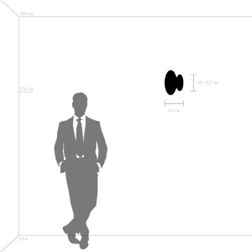 Настенный светодиодный светильник Lightstar Celesta 809106 фото 4