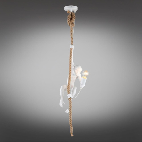 Светильник подвесной APL.309.06.01 фото 2 Светильник подвесной APL.309.06.01 фото 2