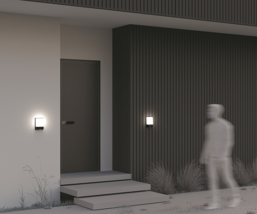 Уличный настенный светильник Outdoor O448WL-L9GF3KSR фото 8